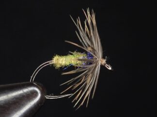Olive Soft hackle Wet fly