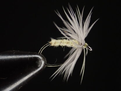 Pale Sulphur Yellow Soft hackle Wet fly