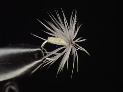 Pale Sulphur Yellow Soft hackle Wet fly - Image 3