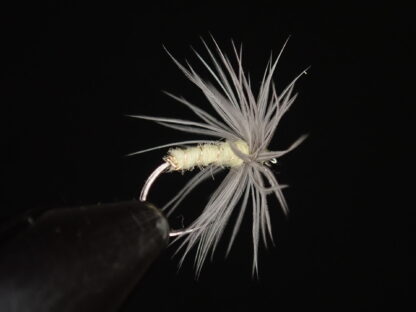 Pale Sulphur Yellow Soft hackle Wet fly - Image 4